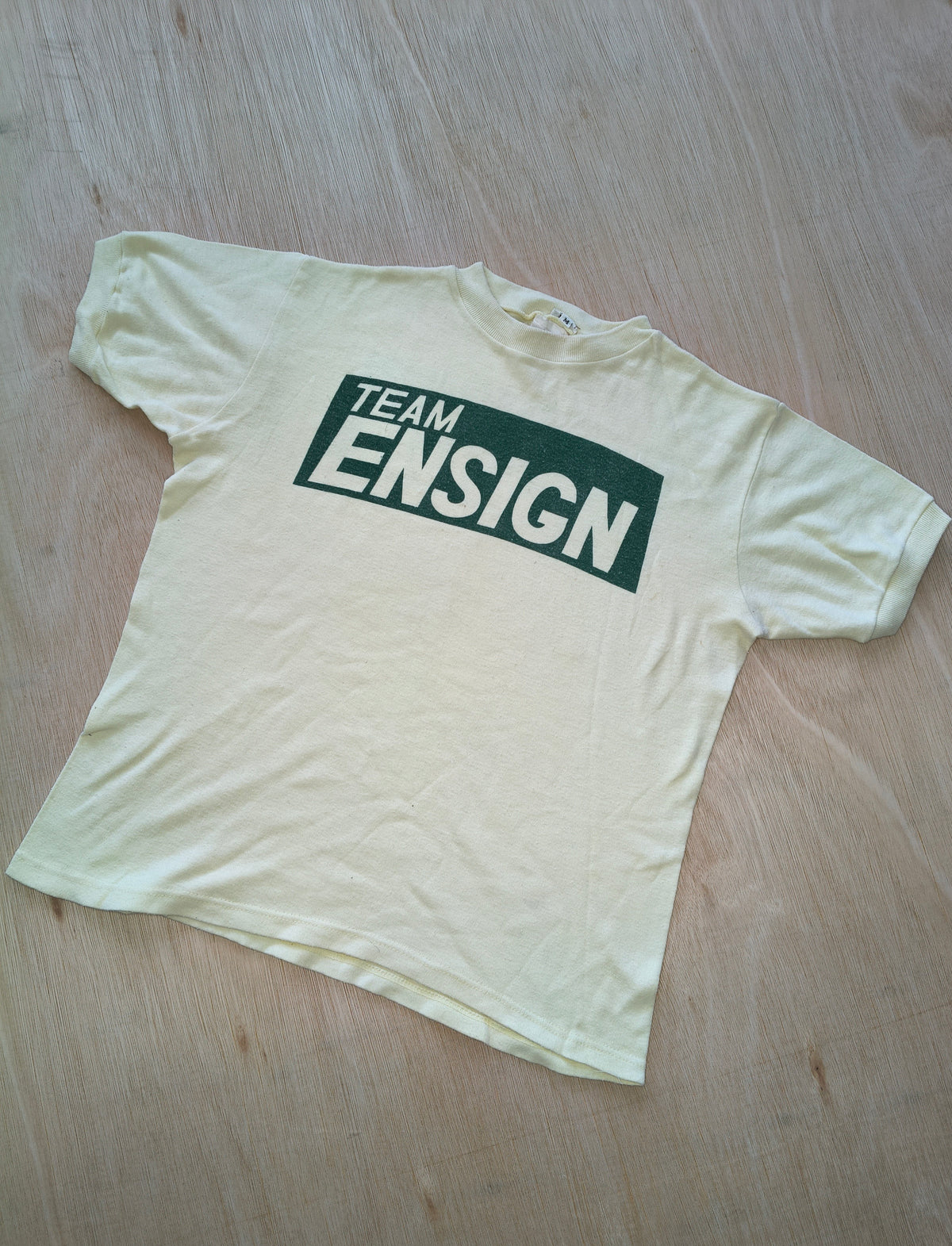 1979 Team Ensign N179 t-shirt Derek Daly vintage F1