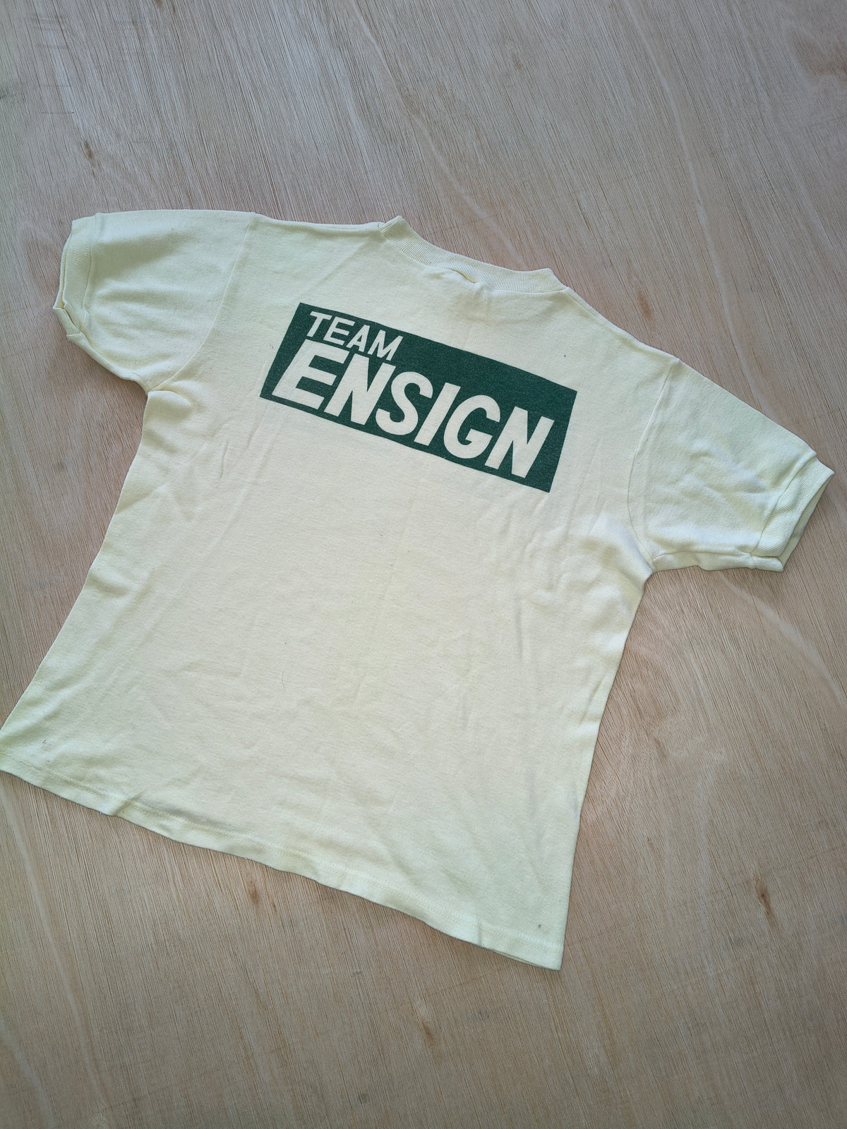1979 Team Ensign N179 t-shirt Derek Daly vintage F1