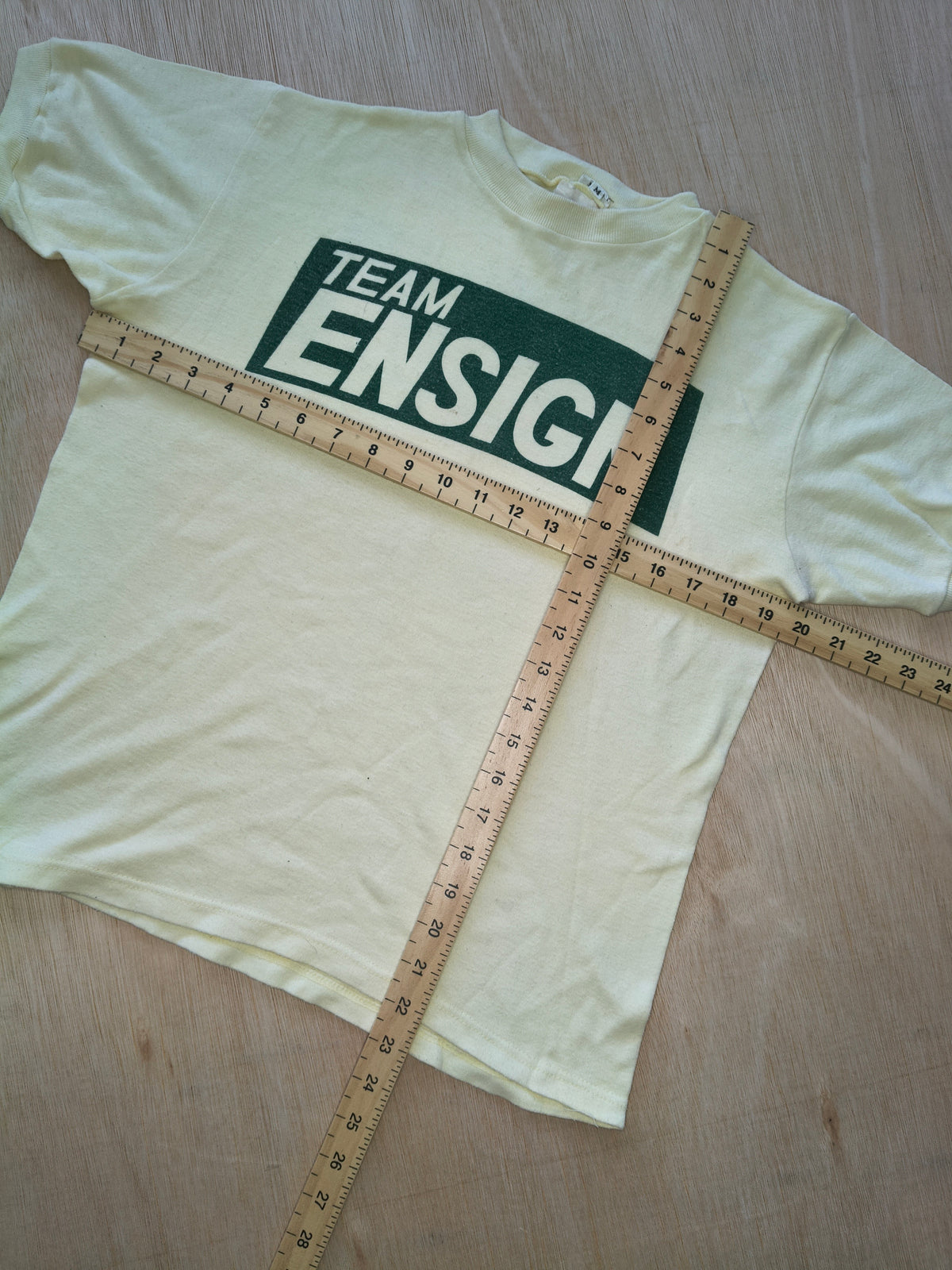 1979 Team Ensign N179 t-shirt Derek Daly vintage F1